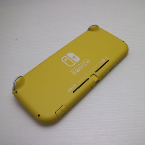 �¿��ݾ� ���� Nintendo Switch Lite ��������