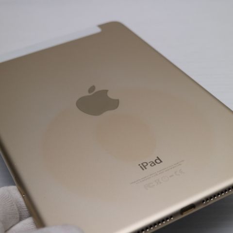 �¿��ݾ��� Ķ���� SIM�ե꡼ iPad mini 4 ����顼 16GB �������