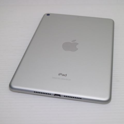 ���� SIM�ե꡼ iPad mini 5 Wi-Fi+����顼  256GB ����С�