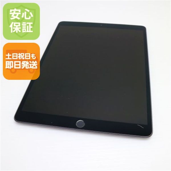  SIMե꡼ iPad Air 3 Cellular 256GB  ڡ쥤 