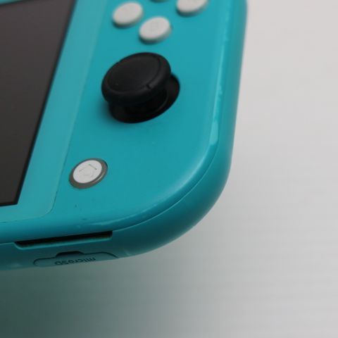 �¿��ݾ� ���� Nintendo Switch Lite ����������