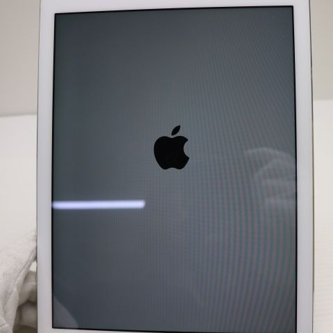 �¿��ݾ��� Ķ���� docomo iPad Air Cellular 16GB ����С�  ���