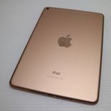Ķ���� SIM�ե꡼ iPad mini 5 Wi-Fi+Cellular 256GB �������