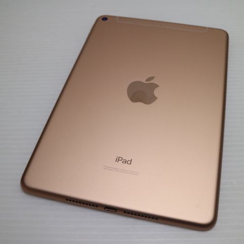 Ķ���� SIM�ե꡼ iPad mini 5 Wi-Fi+Cellular 256GB �������