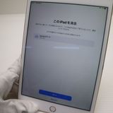 Ķ���� SIM�ե꡼ iPad mini 4 Cellular 128GB �������  �������
