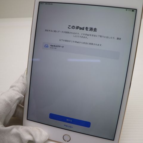 Ķ���� SIM�ե꡼ iPad mini 4 Cellular 128GB �������  �������