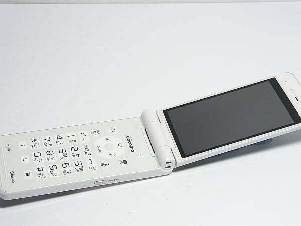 ¿ݾբ̤ѢP-01H ۥ磻Ȣ 