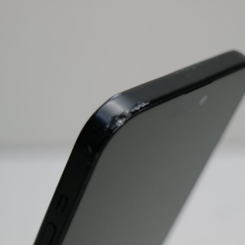 �¿��ݾ� ������� SIM�ե꡼ iPhone15 Plus 256GB �֥�å�