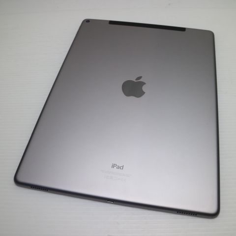 Ķ���� SIM�ե꡼ iPad Pro 12.9����� ����顼 128GB ���ڡ������쥤