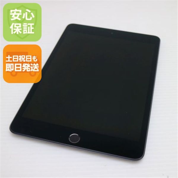 ����Ʊ�� SIM�ե꡼ iPad mini 5 Wi-Fi+����顼  256GB ���ڡ������쥤
