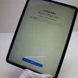 ¿ݾ Ķ SIMե꡼ iPad Pro 11 64GB С