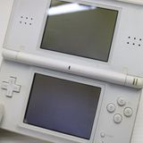 ��� �˥�ƥ�ɡ�DS Lite �饤�� �ۥ磻��  �������