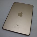 �¿��ݾ��� ���� iPad mini 4 Wi-Fi 128GB �������  �������