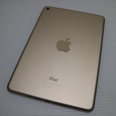 �¿��ݾ��� ���� iPad mini 4 Wi-Fi 128GB �������  �������
