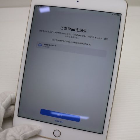 ������� SIM�ե꡼ iPad mini 4 Cellular 128GB �������