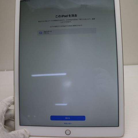 �¿��ݾ��� Ķ���� iPad Pro 12.9����� Wi-Fi 128GB �������  �������