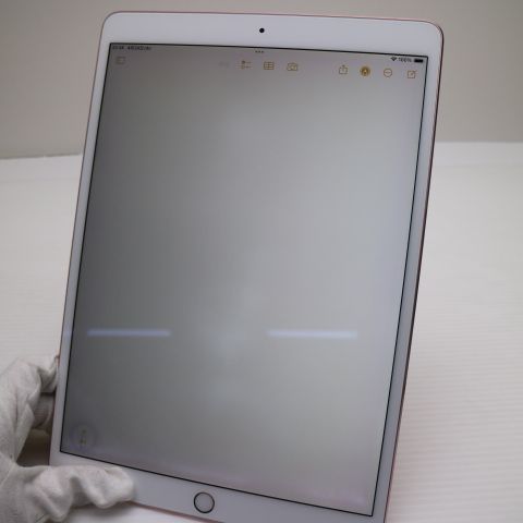 �¿��ݾ� Ķ���� iPad Pro 10.5����� Wi-Fi 256GB �������������
