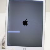 �¿��ݾ� Ķ���� docomo iPad Air 2 Cellular ����顼 16GB ����С�