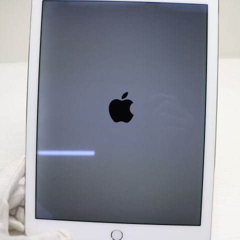 �¿��ݾ� Ķ���� docomo iPad Air 2 Cellular ����顼 16GB ����С�