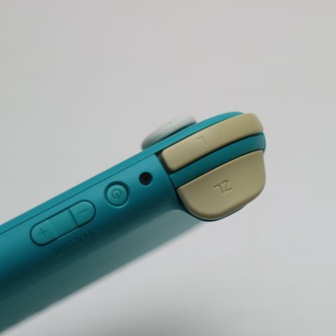 �¿��ݾ� ���� Nintendo Switch Lite ����������