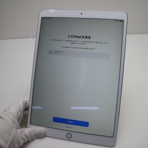 �¿��ݾ� Ķ���� iPad Pro 10.5����� Wi-Fi 256GB ����С� ����