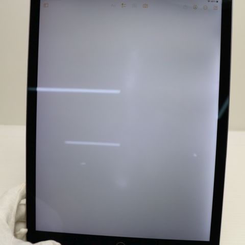 �¿��ݾ��� ���� iPad Pro 12.9����� Wi-Fi 128GB ���ڡ������쥤