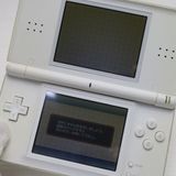 �¿��ݾ��� ���� �˥�ƥ�ɡ�DS Lite �饤�� �ۥ磻��  �������