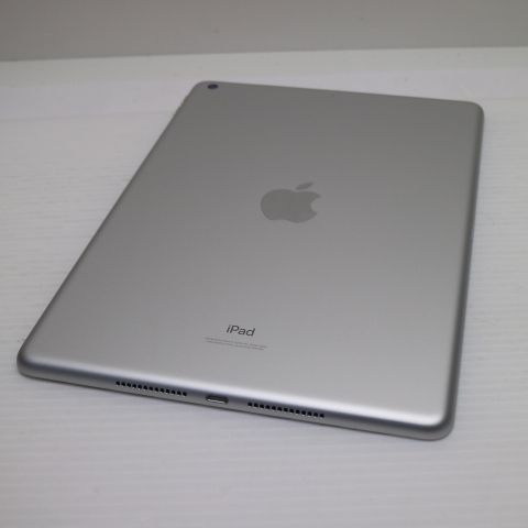 �¿��ݾ� Ķ���� iPad ��9���� Wi-Fi 256GB ����С�