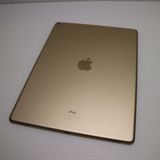 �¿��ݾ��� Ķ���� iPad Pro 12.9����� Wi-Fi 128GB �������  �������