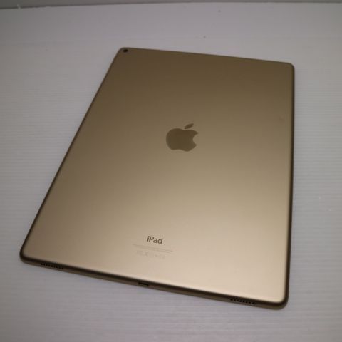 �¿��ݾ��� Ķ���� iPad Pro 12.9����� Wi-Fi 128GB �������  �������