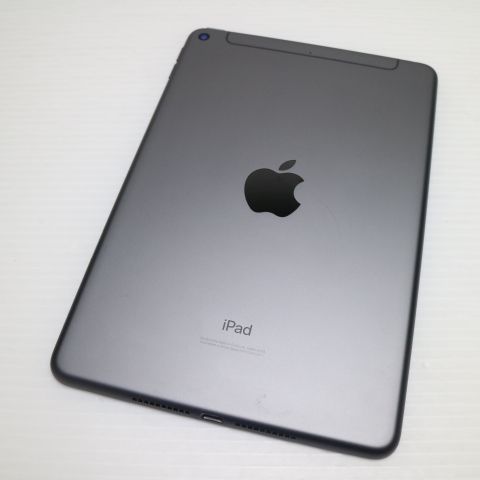 ����Ʊ�� SIM�ե꡼ iPad mini 5 Cellular 64GB ���ڡ������쥤