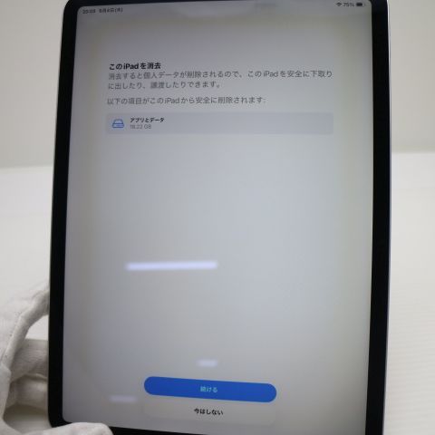 �¿��ݾ� Ķ���� iPad Pro 11����� Wi-Fi 64GB ����С� ����