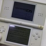 ��� �˥�ƥ�ɡ�DS Lite �饤�� �ۥ磻��  �������