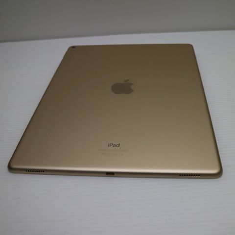 �¿��ݾ��� Ķ���� iPad Pro 12.9����� Wi-Fi 128GB �������  �������