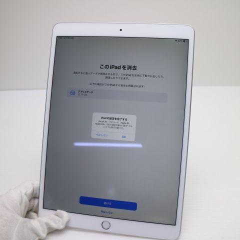 �¿��ݾ� Ķ���� iPad Air 3 wi-fi��ǥ� 256GB  ����С�