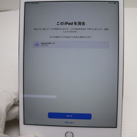 �ݾ� Ķ���� SIM�ե꡼ iPad mini 4 Cellular ����顼 16GB ����С�