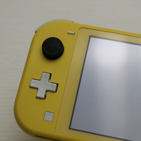 �¿��ݾ� ���� Nintendo Switch Lite ��������