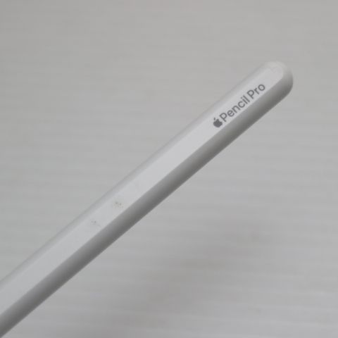 �¿��ݾ� Ķ���� Apple Pencil Pro �ۥ磻��