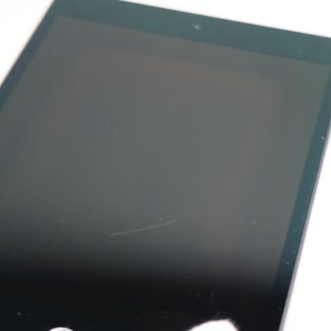 ���� SIM�ե꡼ iPad mini 5 Wi-Fi+Cellular 64GB ���ڡ������쥤