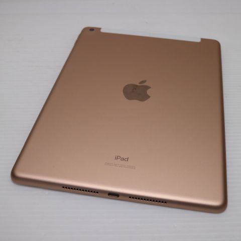 �¿��ݾ� Ķ���� SIM�ե꡼ iPad7 ��7���� Wi-Fi+����顼  32GB  �������