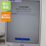 ���� SIM�ե꡼ iPad mini 5 Wi-Fi+Cellular  64GB ����С�