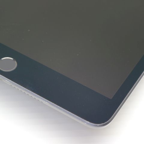 Ʊ iPad mini 5 Wi-Fi 256GB ڡ쥤