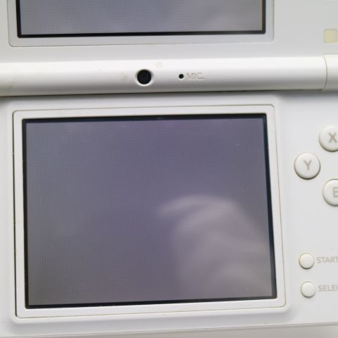 �¿��ݾ��� ������� �˥�ƥ�ɡ�Dsi �ۥ磻��  �������