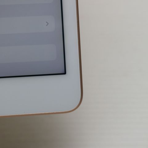 �¿��ݾ� Ķ���� SIM�ե꡼ iPad7 ��7���� Wi-Fi+����顼  32GB  �������