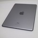 �¿��ݾ��� Ķ���� iPad Air 2 Wi-Fi 128GB ���ڡ������쥤  �������