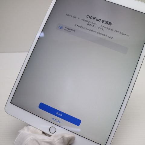 Ķ���� SIM�ե꡼ iPad Pro 10.5����� Cellular 256GB ����С�