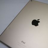 �¿��ݾ��� ���� iPad Air 2 Wi-Fi 64GB �������  �������