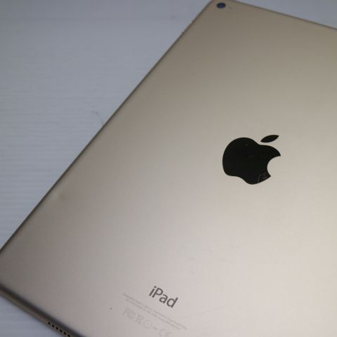 �¿��ݾ��� ���� iPad Air 2 Wi-Fi 64GB �������  �������