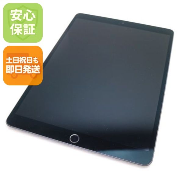 ���� SIM�ե꡼ iPad Air 3 Cellular 64GB  ���ڡ������쥤