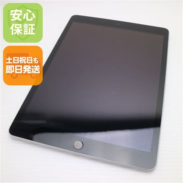 �¿��ݾ� ���� SIM�ե꡼ iPad9 ��9���� Wi-Fi+����顼  256GB ����С�